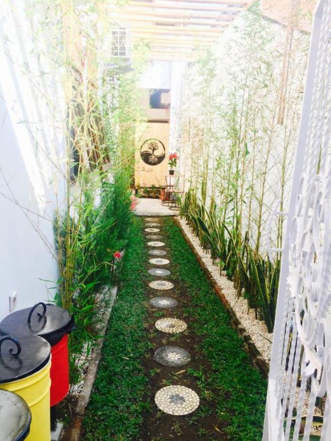 Green bamboo garden path with stone steps at Wood Stone Homestay